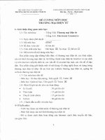 Đề cương môn học thương mại điện tử