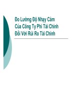 Bài giảng đo lường độ nhạy cảm của công ty phi tài chính đối với rủi ro tài chính