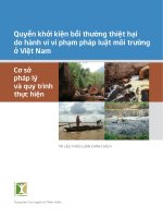 Quyền khởi kiện bồi thường thiệt hại do hành vi vi phạm pháp luật môi trường ở việt nam