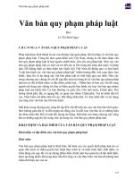 Văn bản quy phạm pháp luật   lê thị bích ngọc 