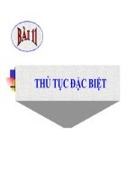 Bài giảng tố tụng hình sự   bài 11  thủ tục đặc biệt