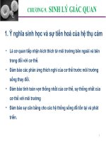 Bài giảng sinh lý động vật  chương 9   sinh lý giác quan