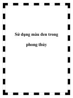 Sử dụng màu đen trong phong thủy 