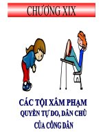 Bài giảng luật hình sự việt nam  chương 19   ths  trần đức thìn
