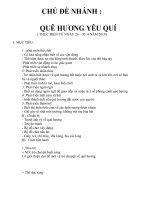 giáo án mầm non chủ đề QUÊ HƯƠNG yêu QUÍ  