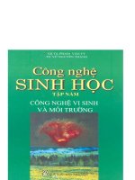 Giáo trình công nghệ sinh học   tập 5  công nghệ vi sinh và môi trường (phần 1)   PGS TS  phạm văn ty, TS  nguyễn văn thành