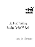 Bài giảng e i basic trainning (đào tạo cơ bản về e i)   trần văn tập