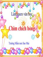 GIÁO án THI GIÁO VIÊN GIỎI cấp TỈNH tho chim chich bong 
