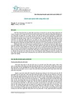 Chính sách phát triển nông thôn mới 