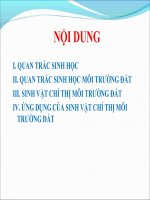 Quan trắc sinh học và chỉ thị môi trường đất