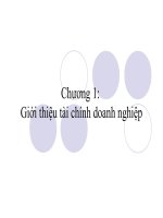 Bài giảng tài chính doanh nghiệp theo ross  chương 1