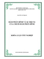 Hàm phân hình và sự hội tụ của chuỗi hàm phân hình 