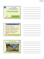 Bài giảng sinh thái học   TS  trần thị thúy nhàn