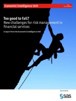 Too good to fail new challenges for risk management in financial services 