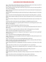 HOẠCH ĐỊNH và PHÁT TRIỂN CHÍNH SÁCH CÔNG