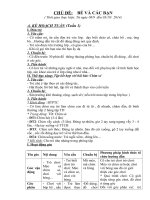 giáo án mầm non chủ đề bé và các bạn 