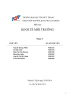 Bài tập nhóm môn kinh tế môi trường   đh tôn đức thắng