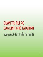 Bài giảng quản trị rủi ro các định chế tài chính  chương 3   PGS TS trần thị thái hà