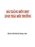 BÀI GIẢNG  SINH THÁI học đô THỊ