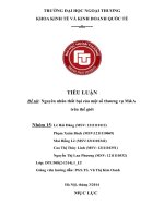 Tiểu luận đầu tư quốc tế  nguyên nhân thất bại của một số thương vụ m a trên thế giới