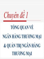 Bài giảng quản trị ngân hàng thương mại nâng cao  chuyên đề 1