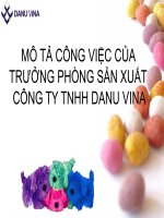 mô tả công việc của trưởng phòng sản xuất công ty tnhh danu vina