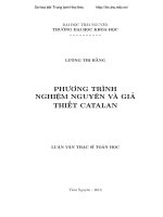 Phương trình nghiệm nguyên và giả thuyết catalan