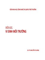 Bài giảng môn vi sinh môi trường   ths nguyễn thị hàng
