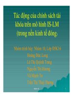 Tiểu luận  tác động của chính sách tài khóa trên mô hình IS LM IS ( trong nền kinh tế đóng )