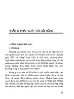 Ebook pháp luật, lối sống và văn hóa công sở  phần 2   PGS TS  nguyễn minh doan (chủ biên)