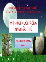kỹ thuật trồng nấm hầu thủ 