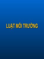 Định nghĩa luật môi trường