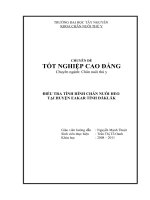 Điều tra tình hình chăn nuôi heo tại huyện eakar tỉnh đăk lăk
