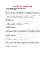 BÀI văn mẫu TIỂU học HAY   nghe và kể lại câu chuyện nâng niu từng hạt giống 