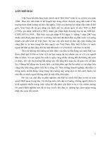 giải pháp để hạn chế rủi ro trong đầu tư bất  động sản