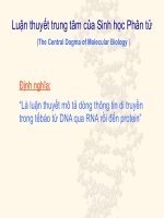Luận thuyết trung tâm của sinh học phân tử