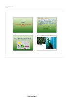 Bài giảng chương 4  sự quang hợp và hô hấp của tế bào 