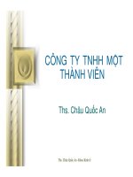 Công ty TNHH một thành viên   TS châu quốc an