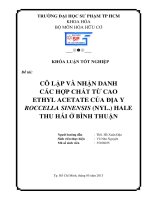 Cô lập và nhận danh các hợp chất từ cao ethyl acetate của địa y roccella sinensis (nyl ) hale thu hái ở bình thuận 