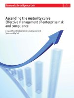 Ascending the maturity curve effective management of enterprise risk and compliance 