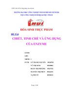 Đề tài hóa sinh thực phẩm  chiết, tinh chế và ứng dụng của enzyme