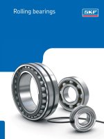 Ebook rolling bearings