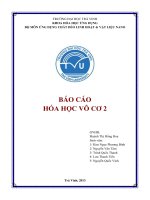 Báo cáo hóa học vô cơ 2