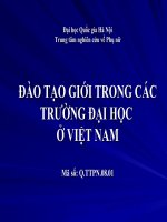 Nghiên cứu  đào tạo giới trong các trường đại học ở việt nam