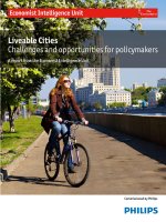Liveable cities challenges and opportunities for policymakers 