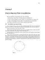 Di truyền tế bào ( nguyễn như hiền )   chương 5