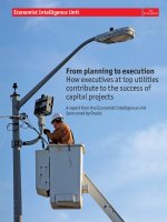 From planning to execution how executives at top utilities contribute to the success of capital projects 