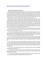 Biện pháp khẩn cấp tạm thời trong tố tụng 