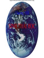 Chương VIII SINH THÁI học