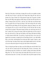 Sản xuất các protein tái tổ hợp 